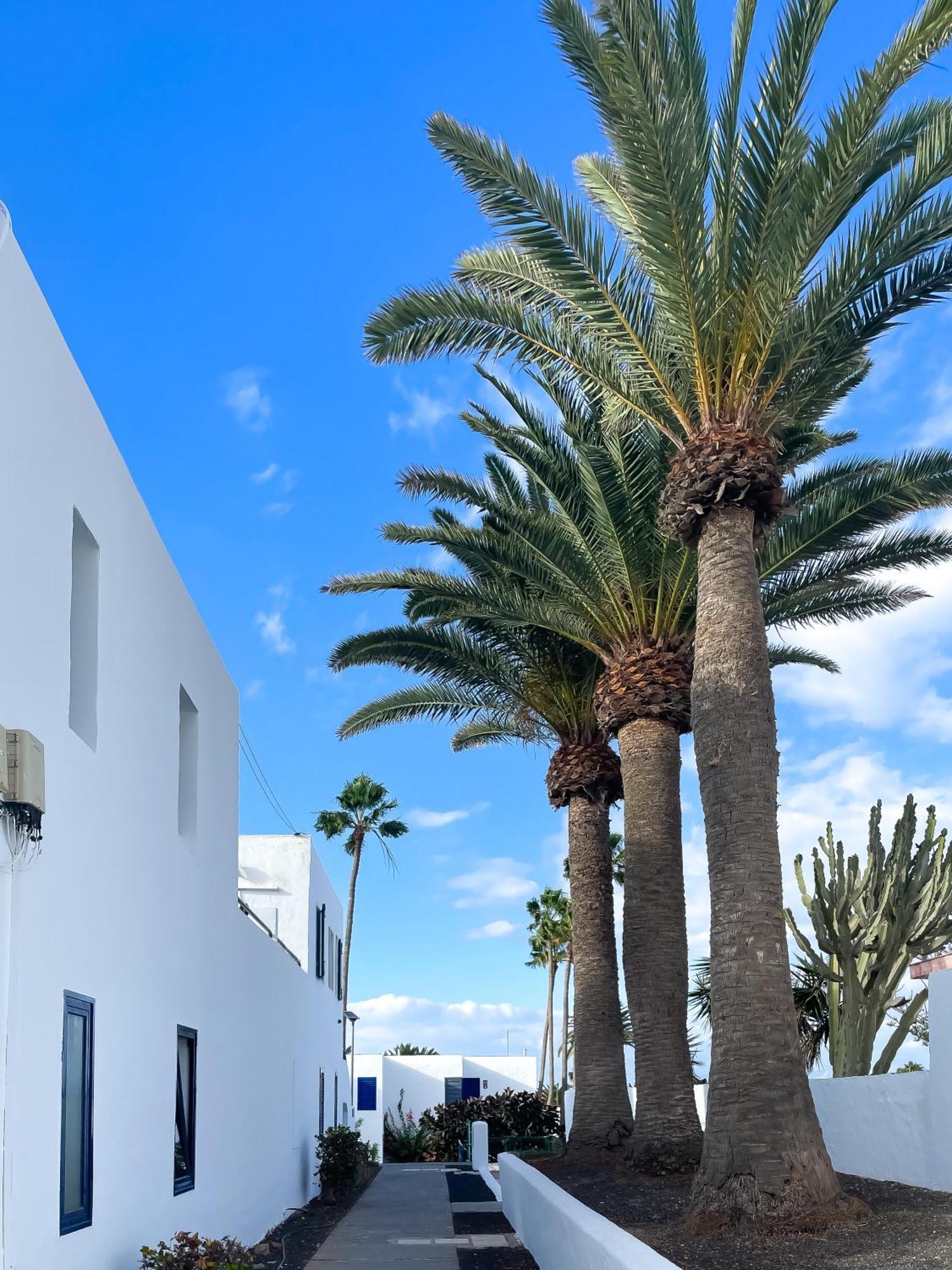 Barqueros Beach By Best Holidays Fuerteventura Corralejo Ngoại thất bức ảnh